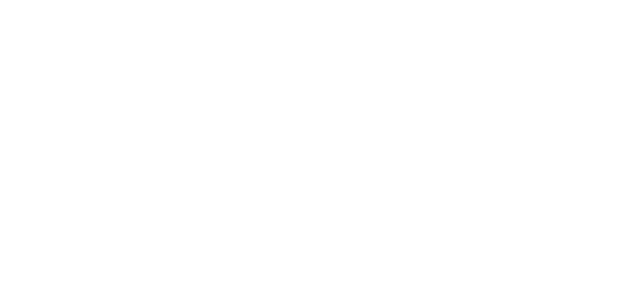 Riesenhuber IT